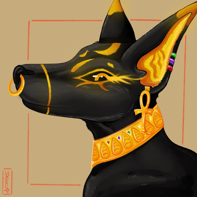 anubis@social.jnpw.net