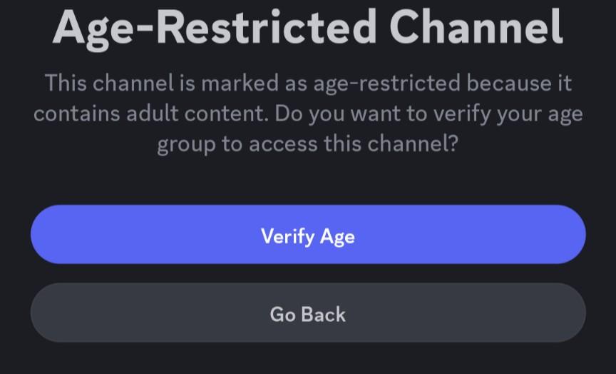 discord age verification screen 
says 
"Age restricted channel. This channel is marked as age restricted because it contains adult content. Do you want to verify your age group to access the channel" with verify age or go back as options.