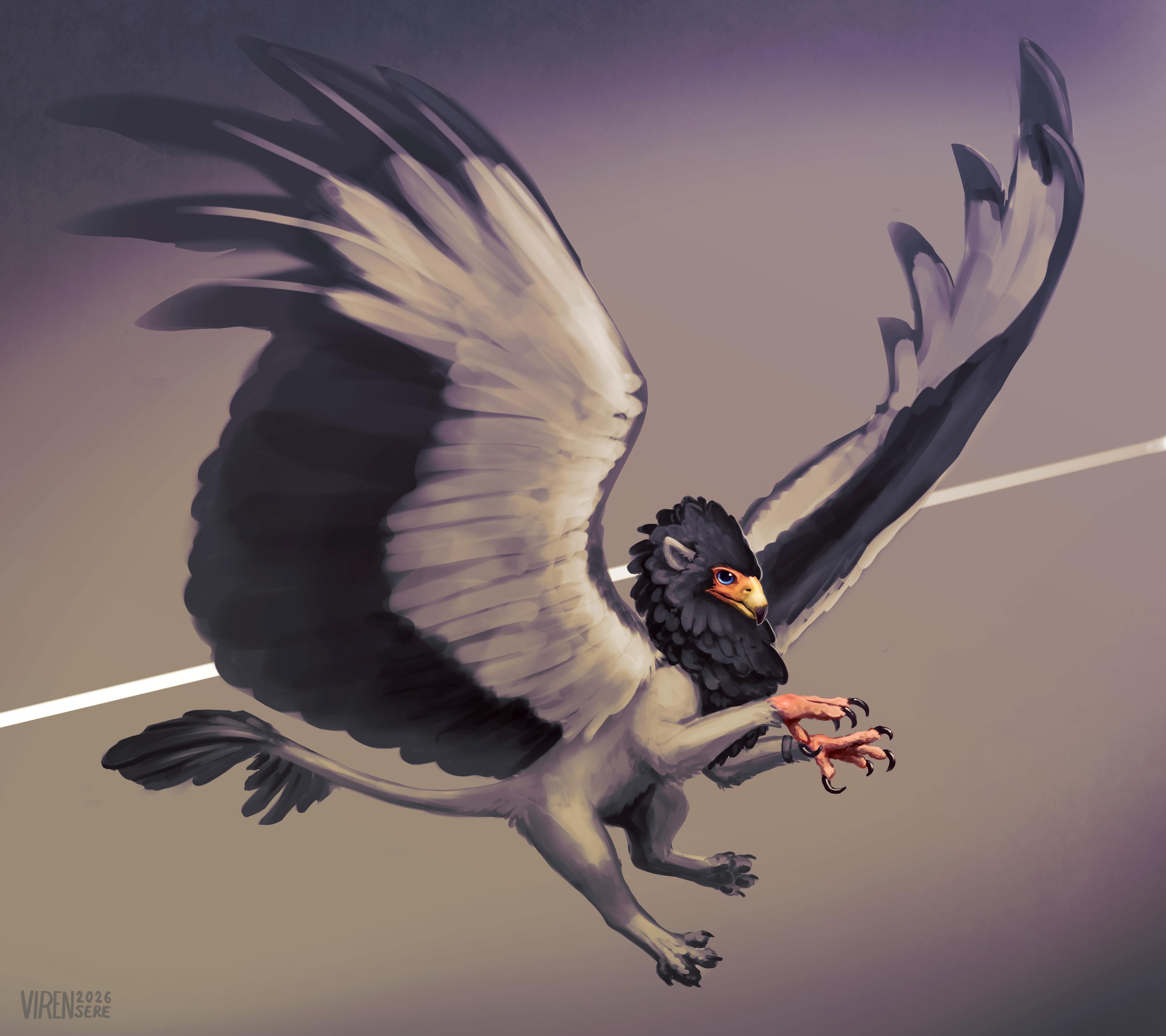 A bateleur eagle gryphon mid-air, its wings spread out.
